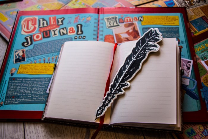 La page de garde d'une des BD de Lou et un carnet ouvert avec une plume © Chloé Andrianarisoa