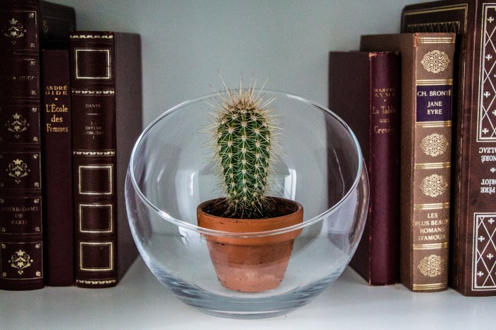 Objectif zéro déchet