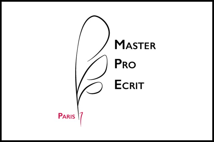 Master Logo Master Pro de l'écrit réalisé sur Illustrator par Chloé Andrianrisoa