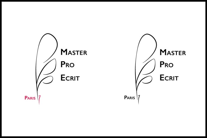 Logos Master Pro de l'écrit réalisé sur Illustrator par Chloé Andrianarisoa