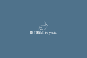 Logo de TOUT COMME des grands